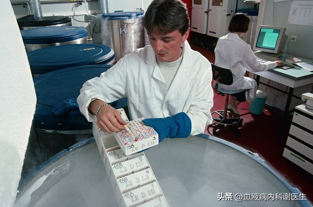 血常规淋巴细胞比率高是怎么回事,猫血常规淋巴细胞比率偏高