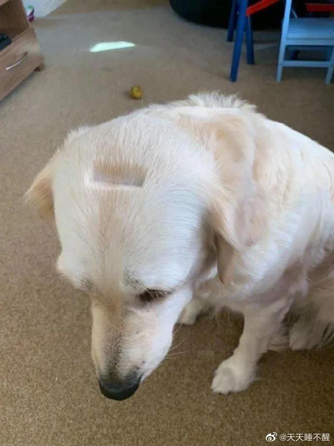 精工所有手表,精工电视手表t001