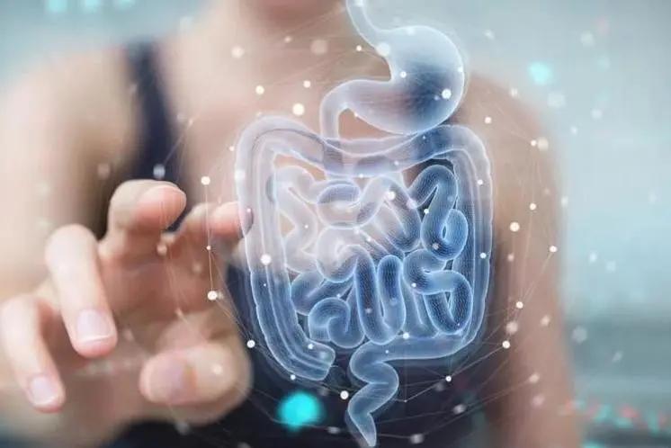 来自微生物群的“肺腑之言”——我们和大脑是“亲兄弟”