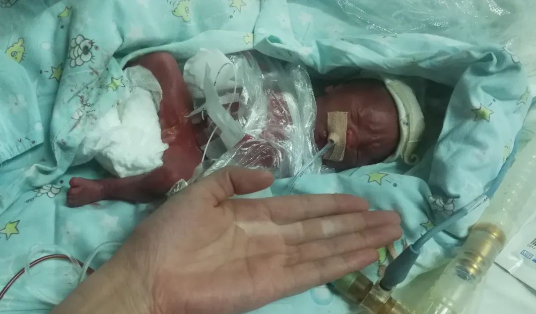 全国唯一上榜的甘肃,中国百强城市甘肃有几个上榜