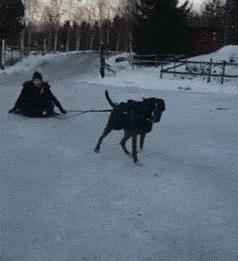 开幼儿园赔钱怎么经营,开幼儿园的十大忠告