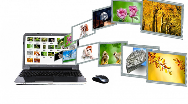 鍏嶈垂绛栧垝鏂规缃戠珯,鍥㈤槦寤鸿绛栧垝鍏ㄥ娴佺▼