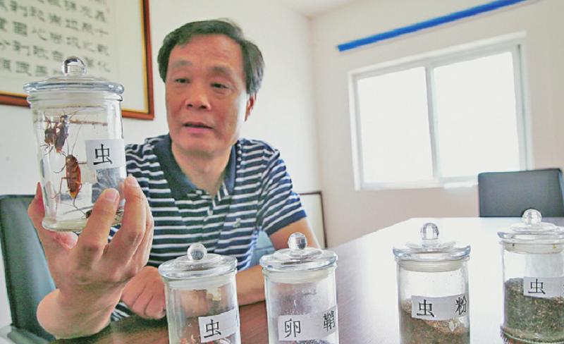 公务员辞职养蟑螂现在成亿万富翁,公务员辞职养蟑螂