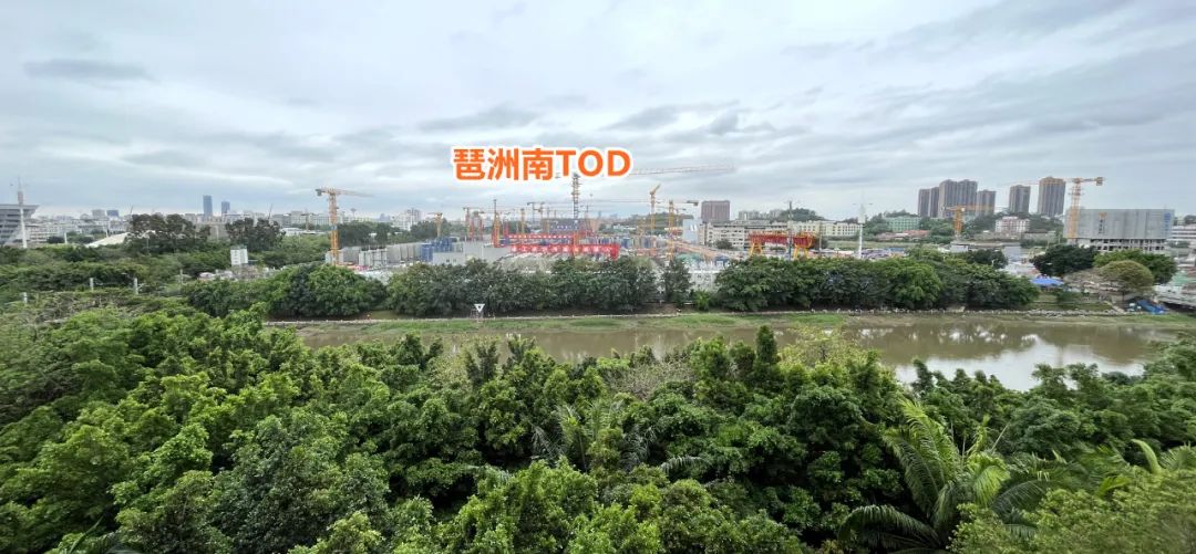 别哭！娶不到琶洲南TOD，去睡她“闺蜜”啊