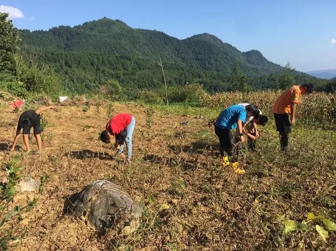 春的脚步势不可挡,春的脚步越来越远散文诗