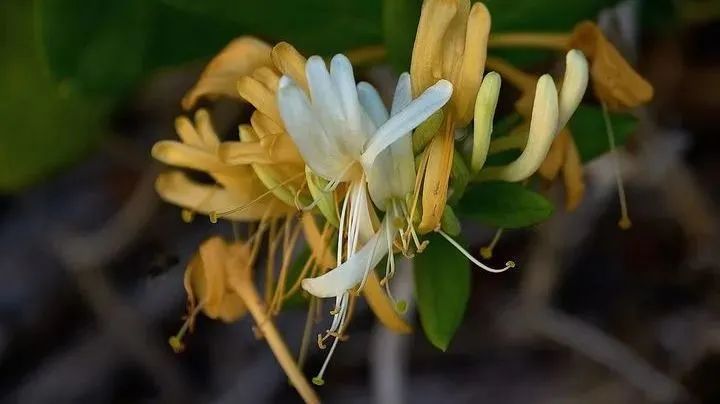 抗疫小妙招,抗疫妙招