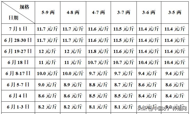 对虾泥鳅鮰鱼跌惨了,黑鱼黄颡鱼草鱼牛蛙也掉,市场一片哀嚎!