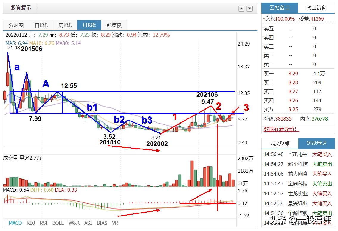 大湖股份600257,大湖股份12月11日分析