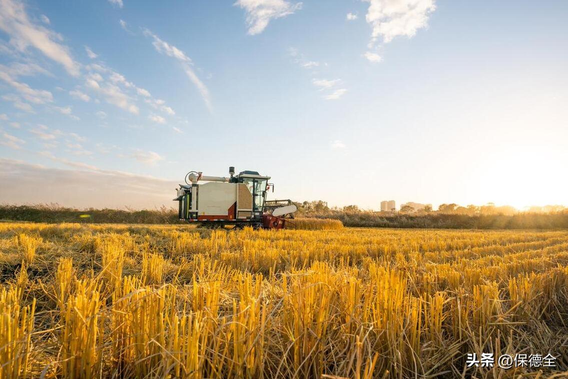 央企助力东北全面振兴清单,央企5000亿东北振兴