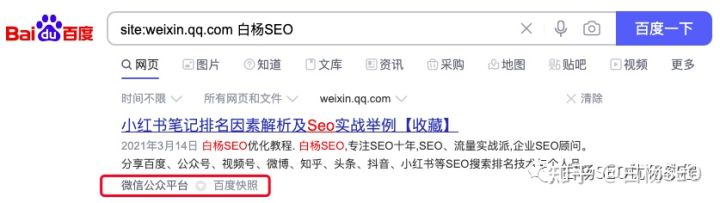 白杨seo博客推广渠道,seo搜索引擎现状分析