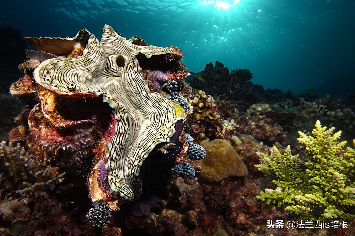 广西精致螺形勺子测评,螺形勺子有毒吗