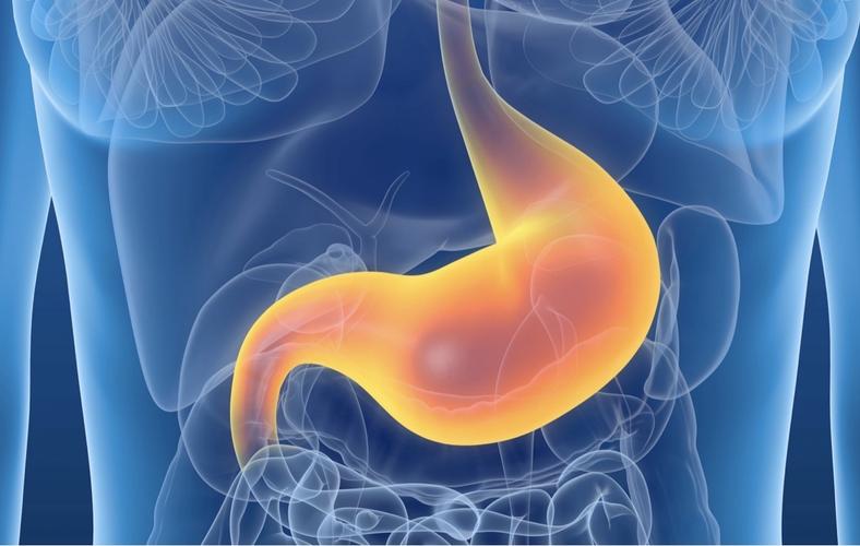 如果人吃生肉会怎样,秃鹫的胃酸那么强胃不会坏吗