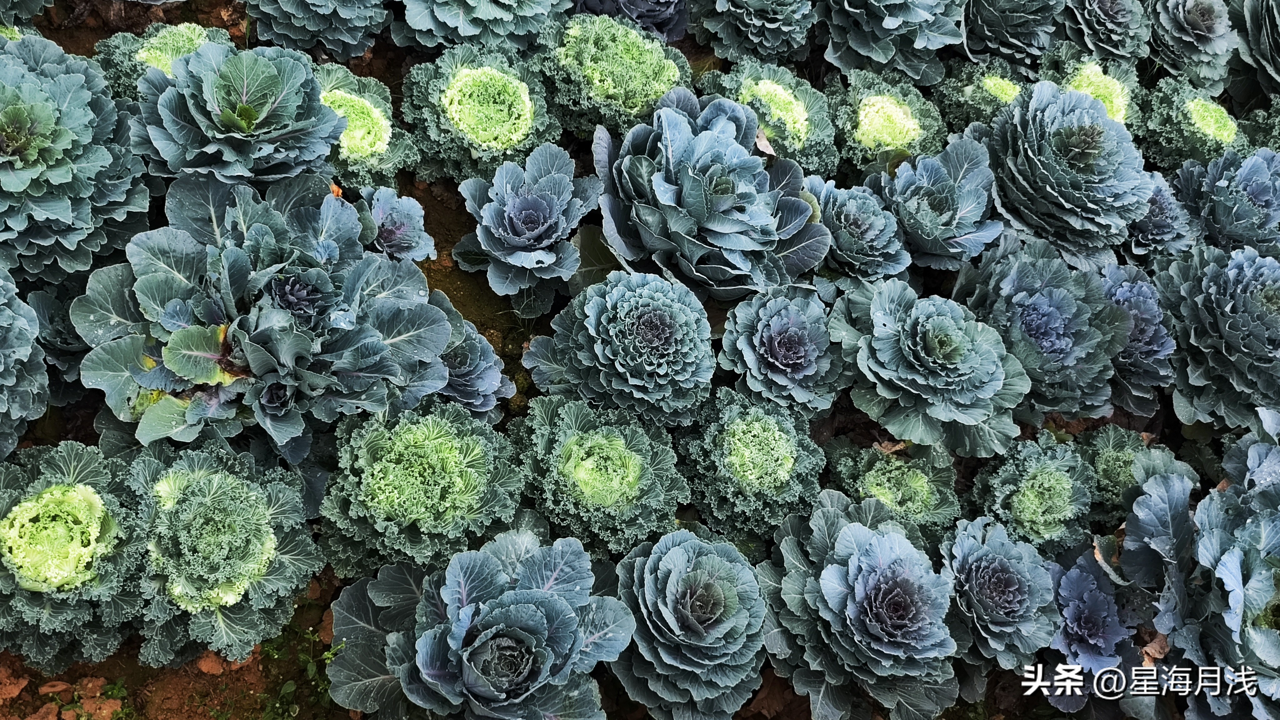 带你玩遍广州所有的儿童公园,广州免费公园遛娃好去处