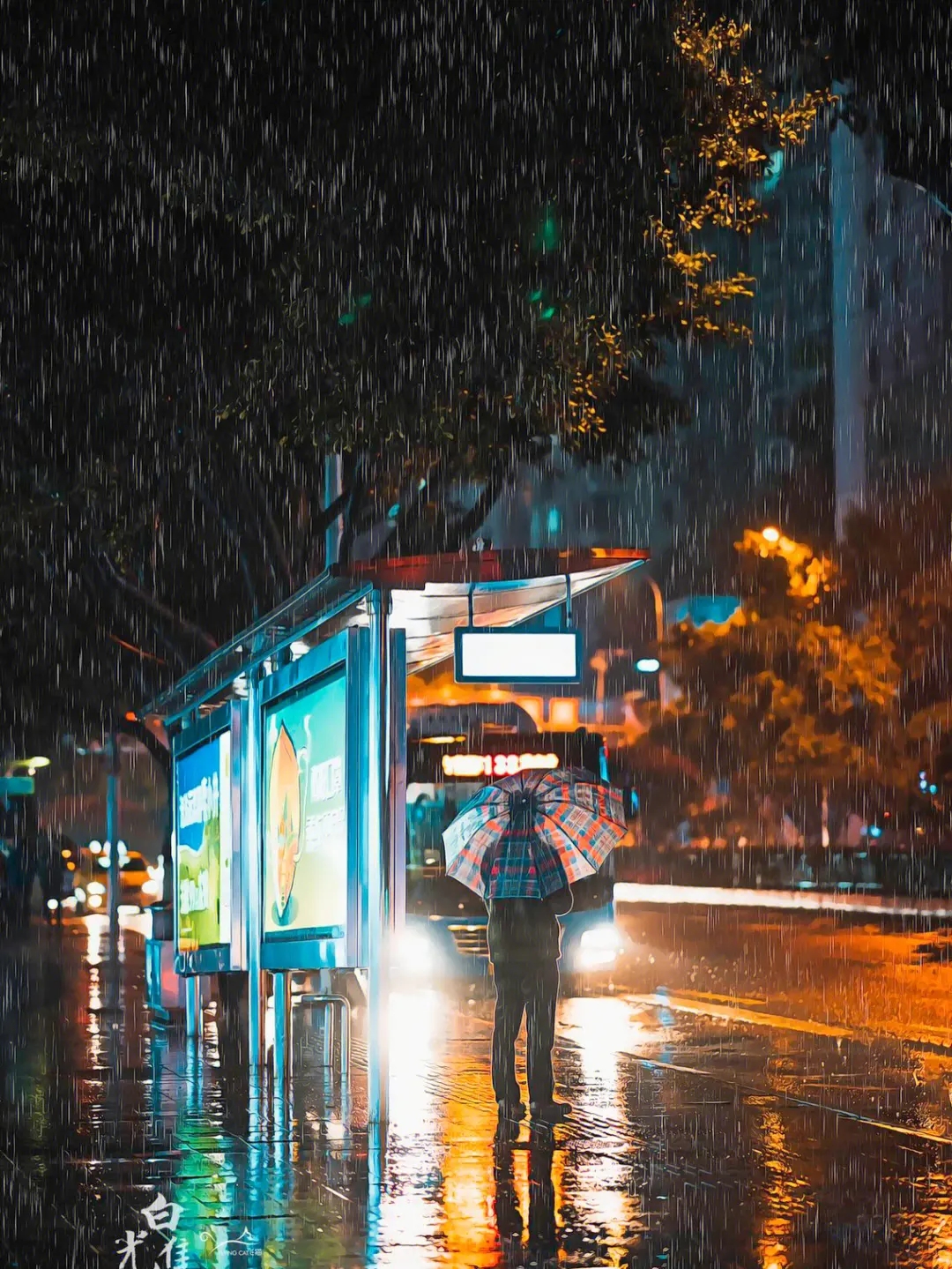 4少年虐杀妇女案终审判决,4少年虐杀妇女案终审判结果