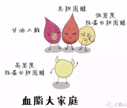 不同人群的降脂标准,不同人群血脂控制目标