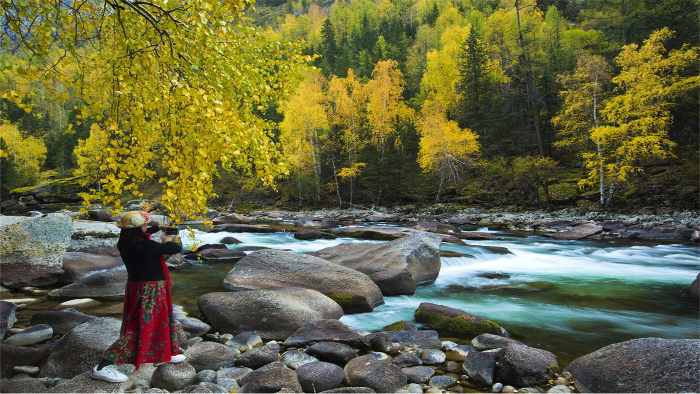 雅茶品禅味,茶烟养性灵