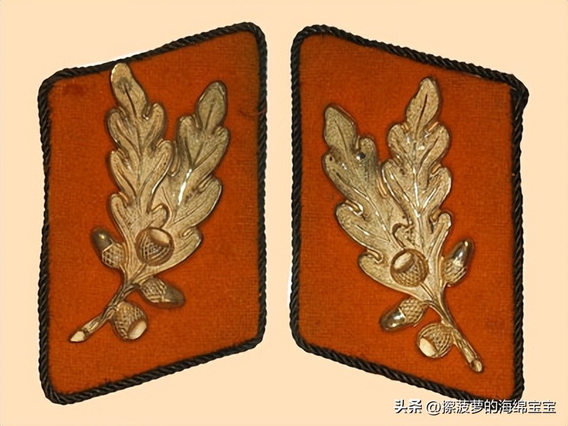 纳粹冲锋队用的什么枪,纳粹德军军衔图解