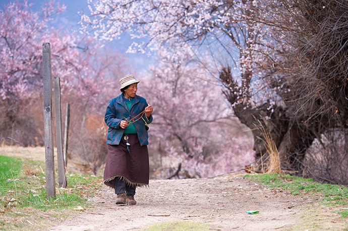 不得不去的中国最美乡村,中国最美十大乡村美景图