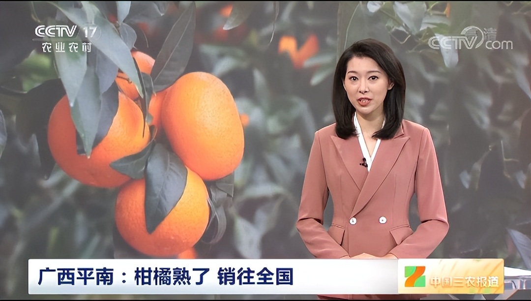 聚传媒力量，发奋进强音！平南县上半年新闻宣传工作亮点来啦→