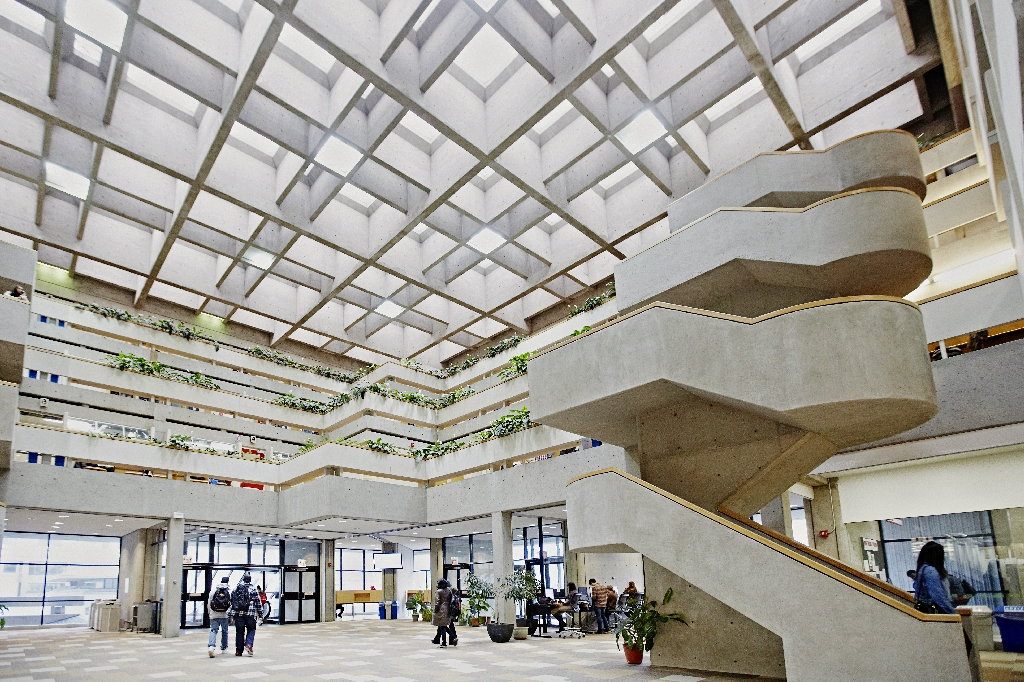 约克大学英国排名,加拿大约克大学和国内大学对比