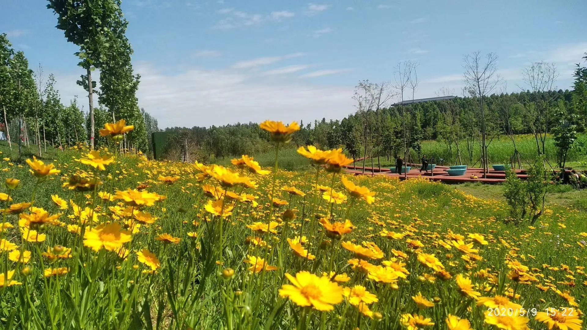 咸阳最好的公园在哪里,咸阳龙湖彩虹郦城规划有公园吗