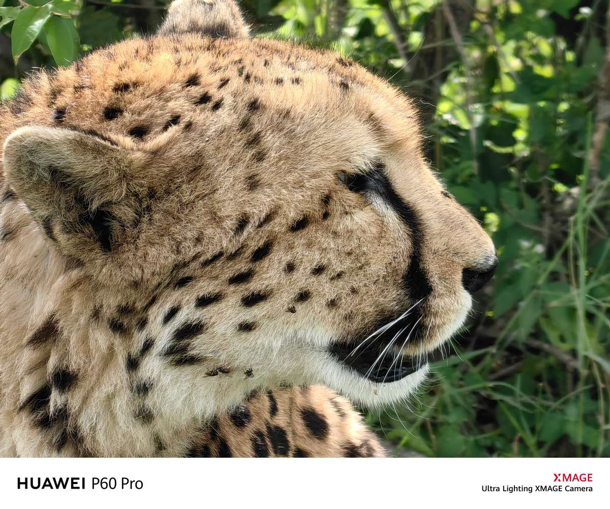 去香港华为p60怎么开启漫游,出行无忧完整版