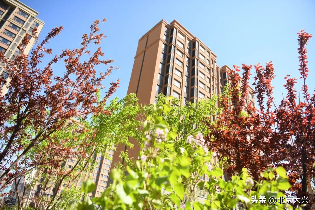 高颜值的大兴,拼的是实力!