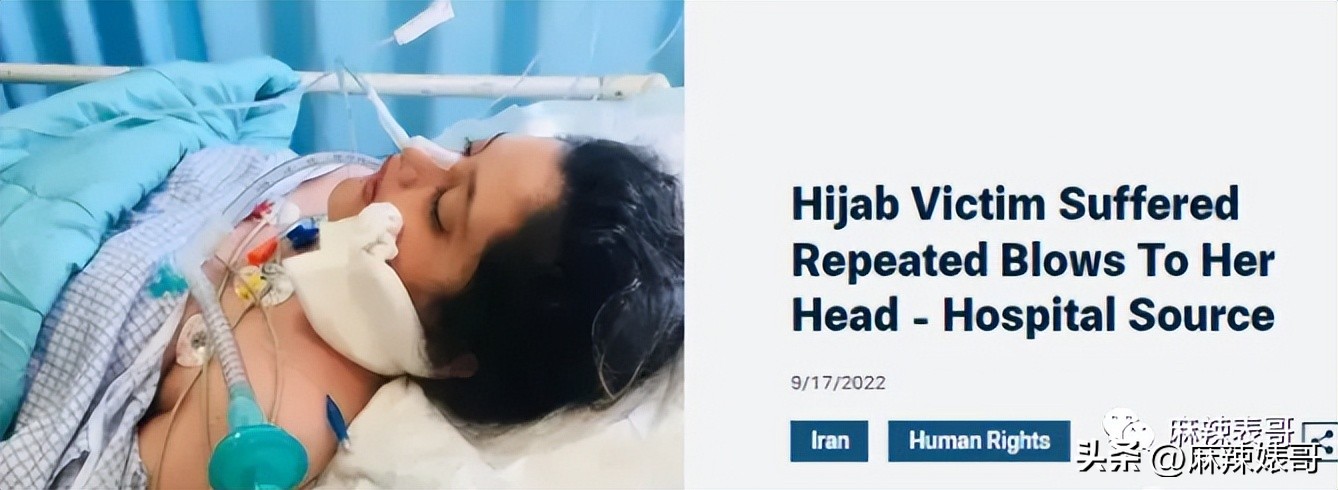 金晨模仿卡塔尔小王子自拍,金晨模仿卡塔尔王子自拍引热议