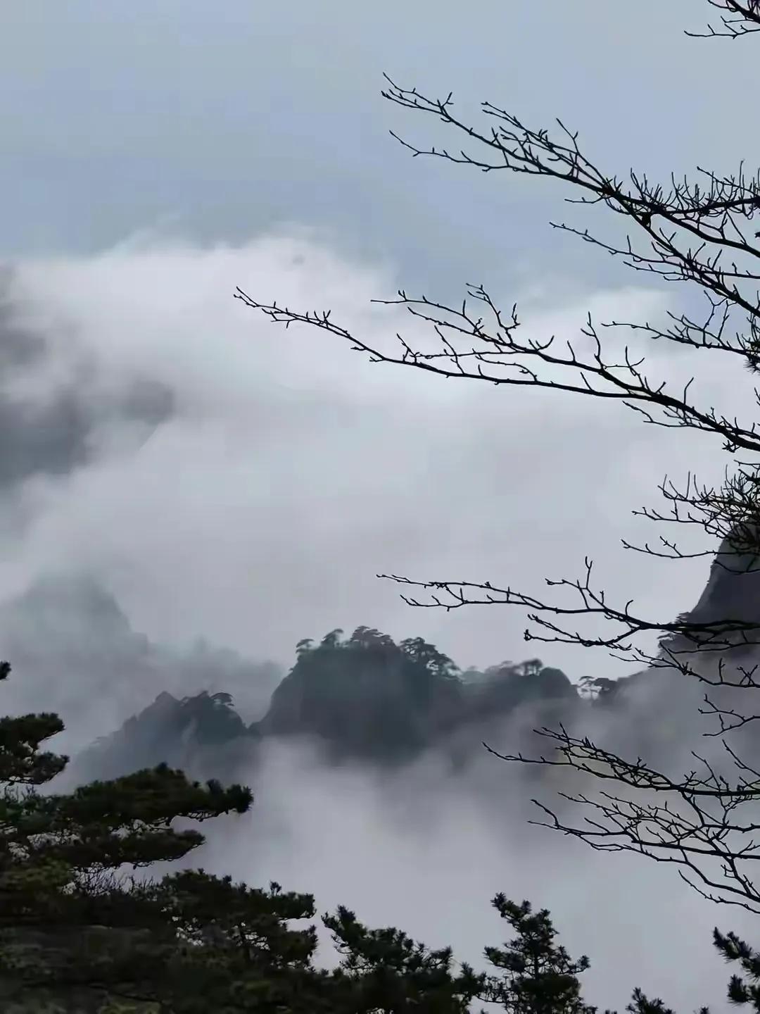厮守一生的唯美诗句图片,相爱的诗句经典语录图片