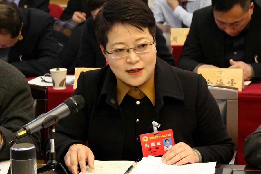 民主党派如何参政履职,民主党派参政议政交流发言