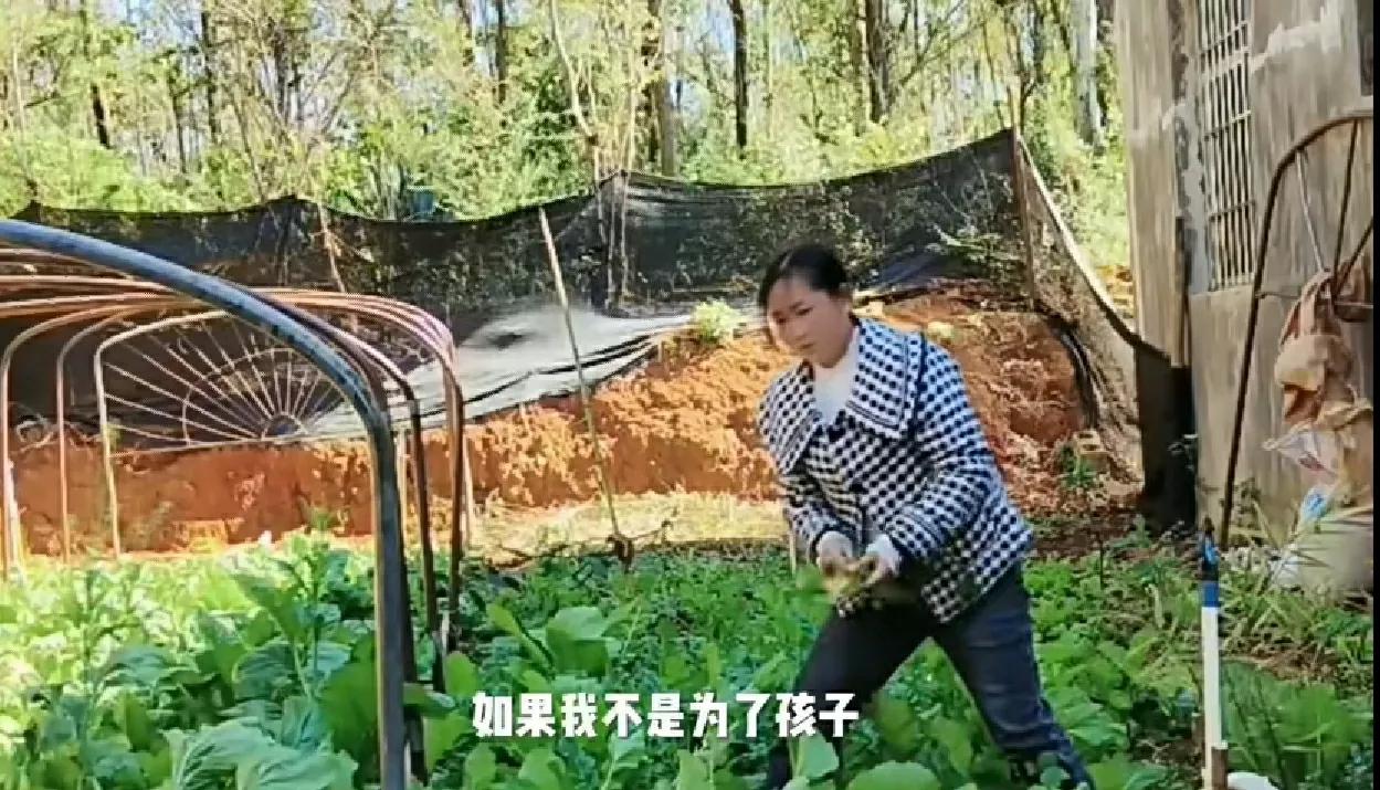 越南女孩珍珍,越南媳妇珍珍