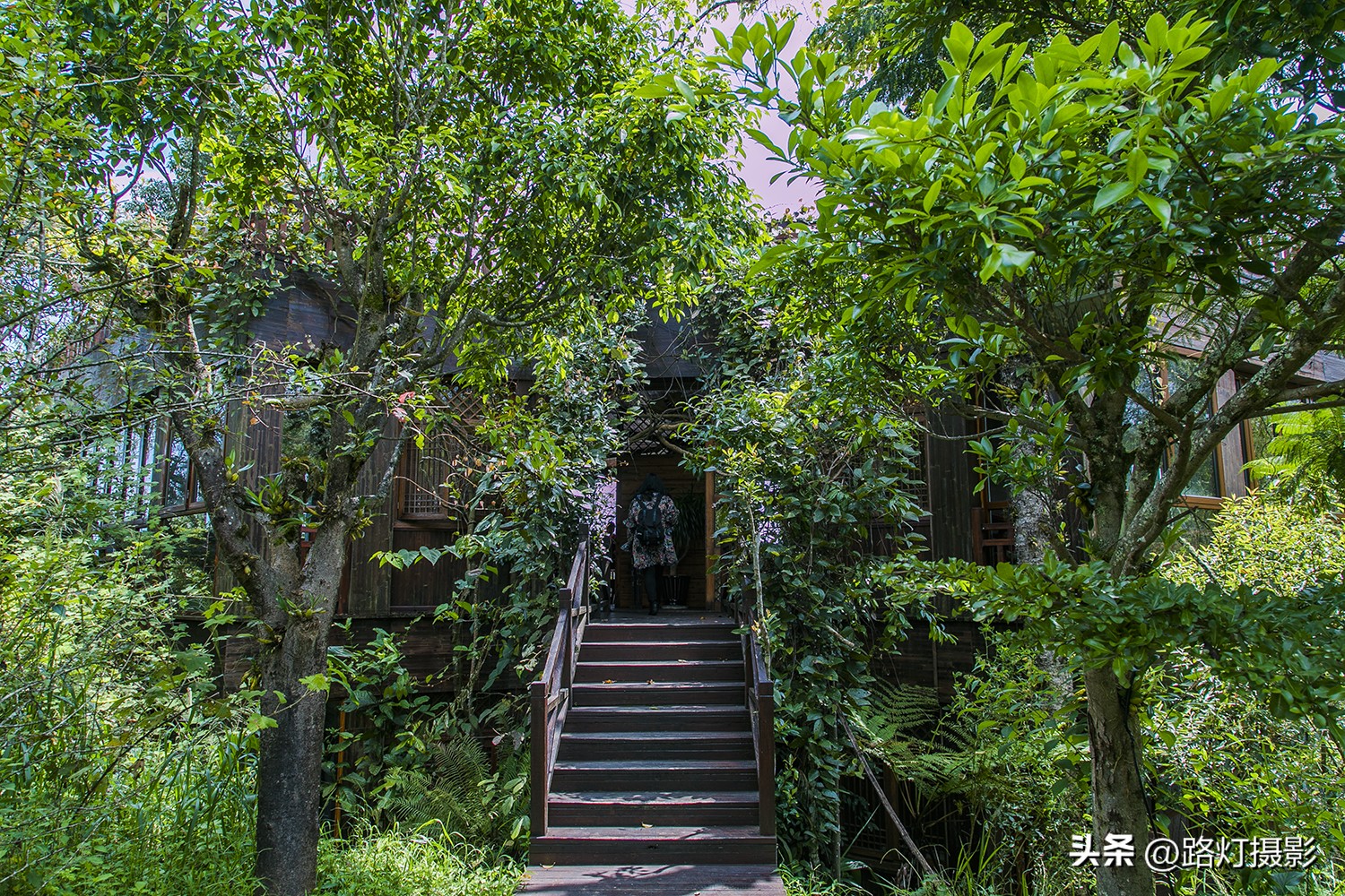 云南最适合养老城市普洱,中国的春城是哪个城市