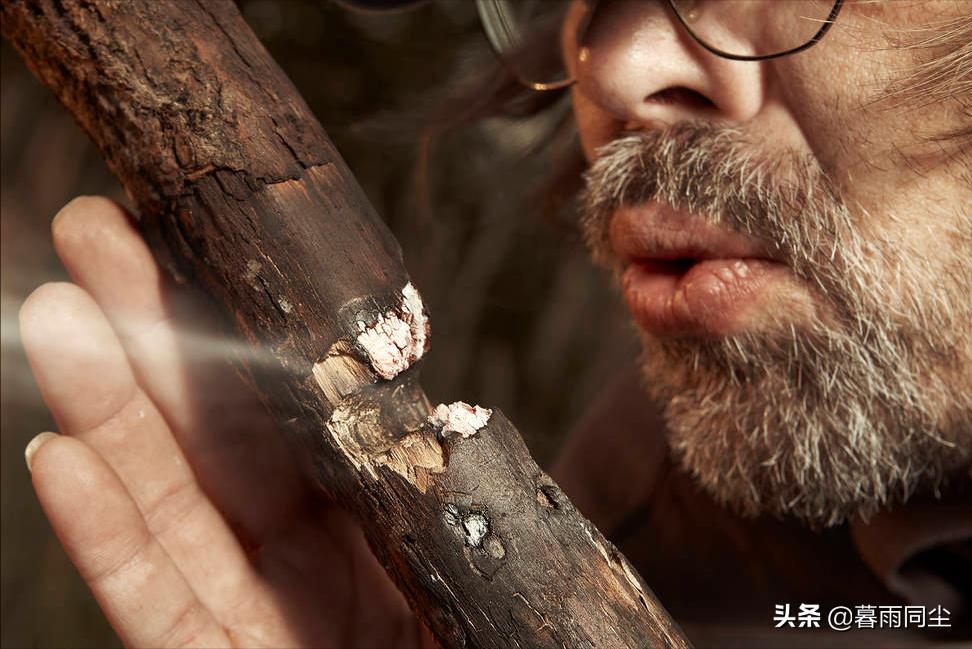 荒野求生紧急情况如何自救,荒野求生幸存者