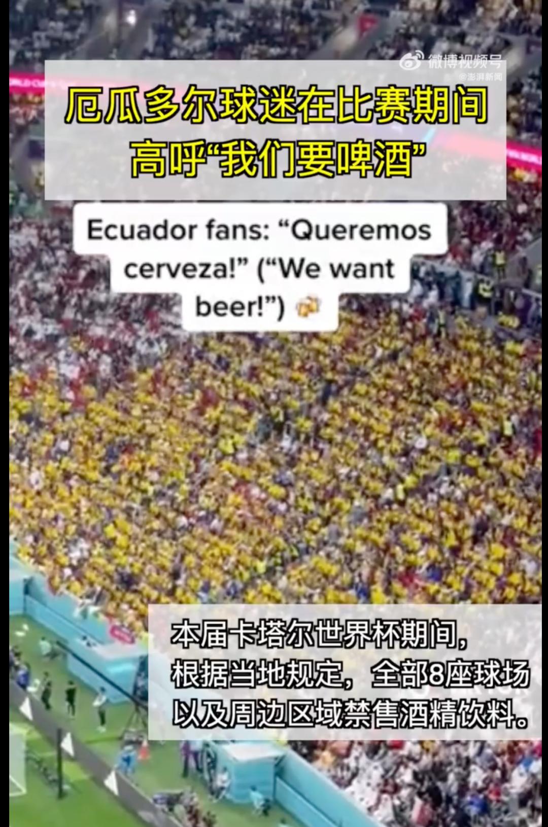 这次世界杯哪个队夺冠,这次世界杯分组