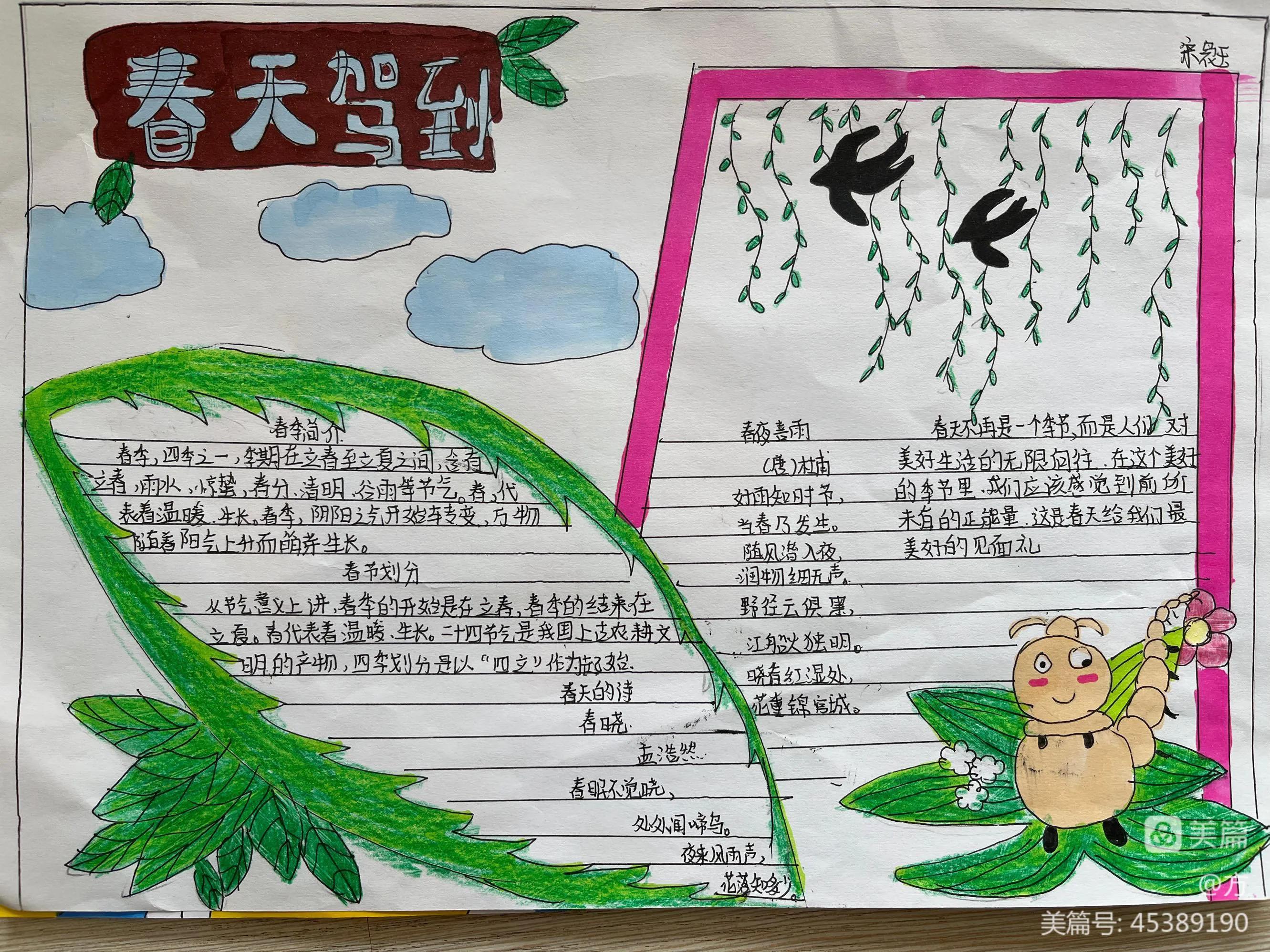 找春天手抄报二年级,一年级寻找春姑娘的手抄报