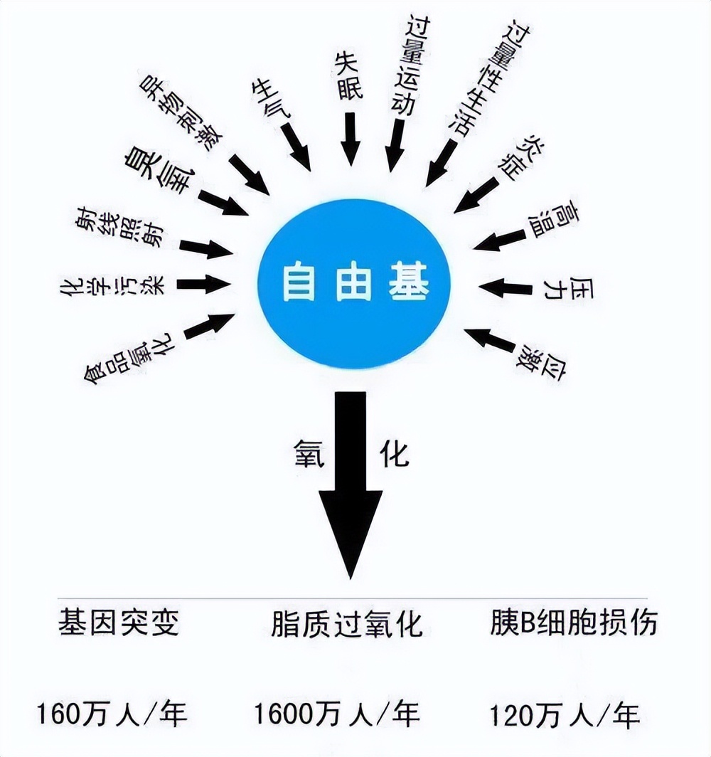 修复皮肤屏障角鲨烷推荐油皮,角鲨烷护肤界的万金油