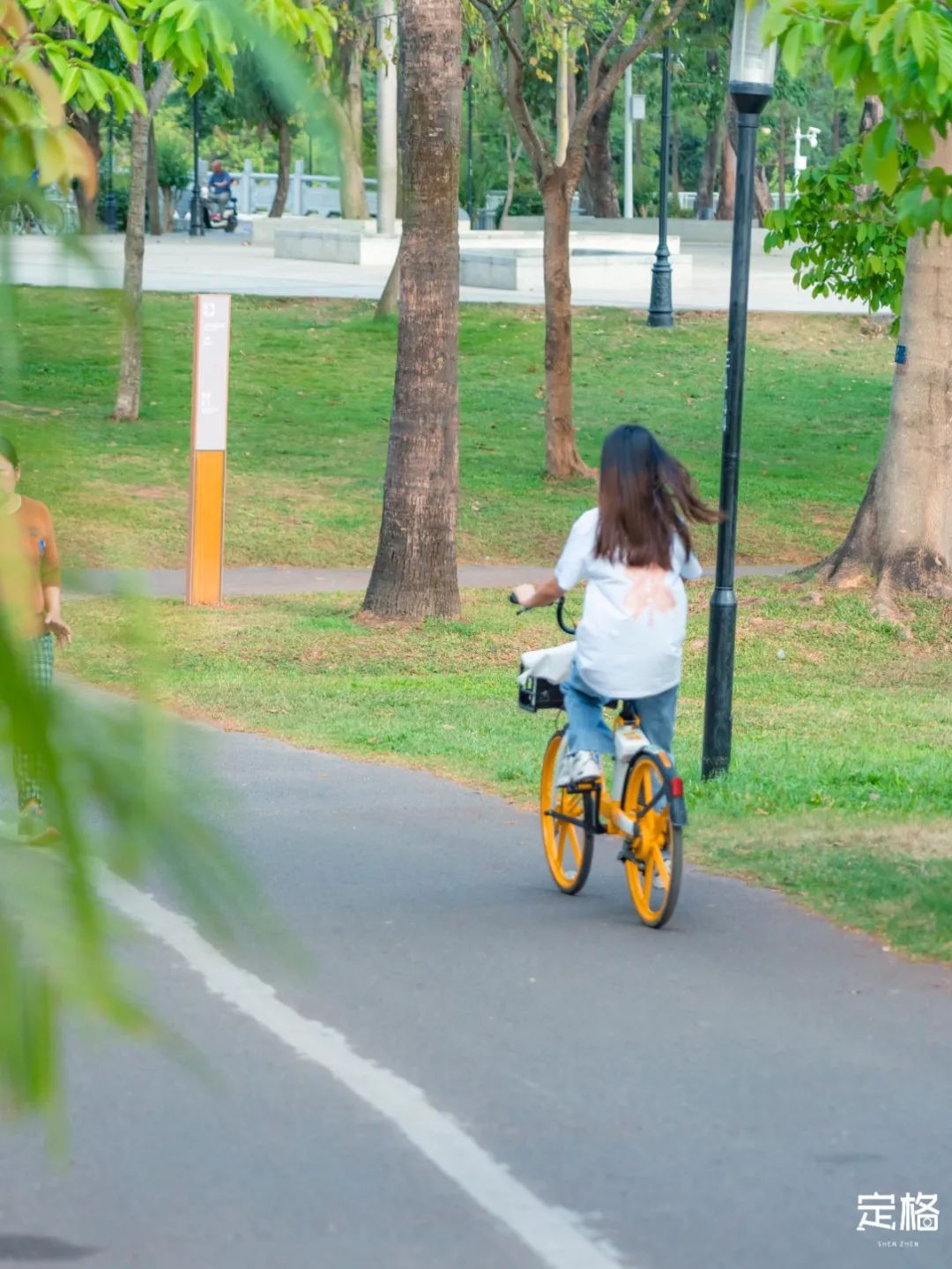 深圳10公里跑步路线,深圳跑步路线推荐塑胶跑道