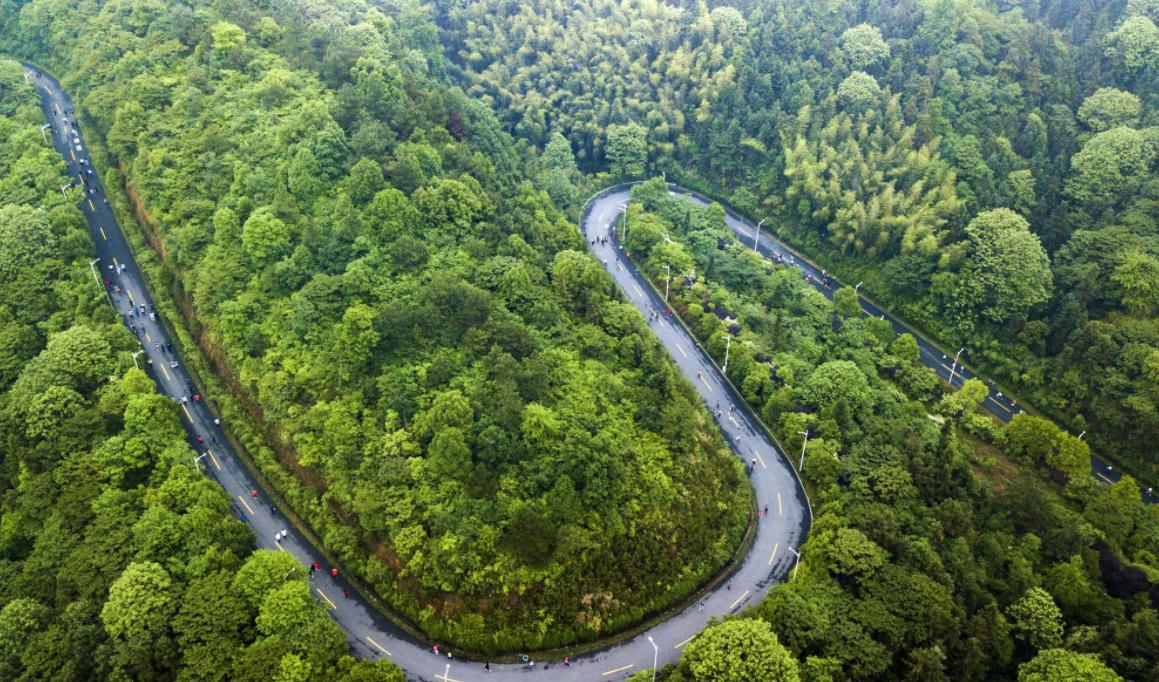 屋里进蛇女子淡定抓蛇,女子抓2米多长的蛇
