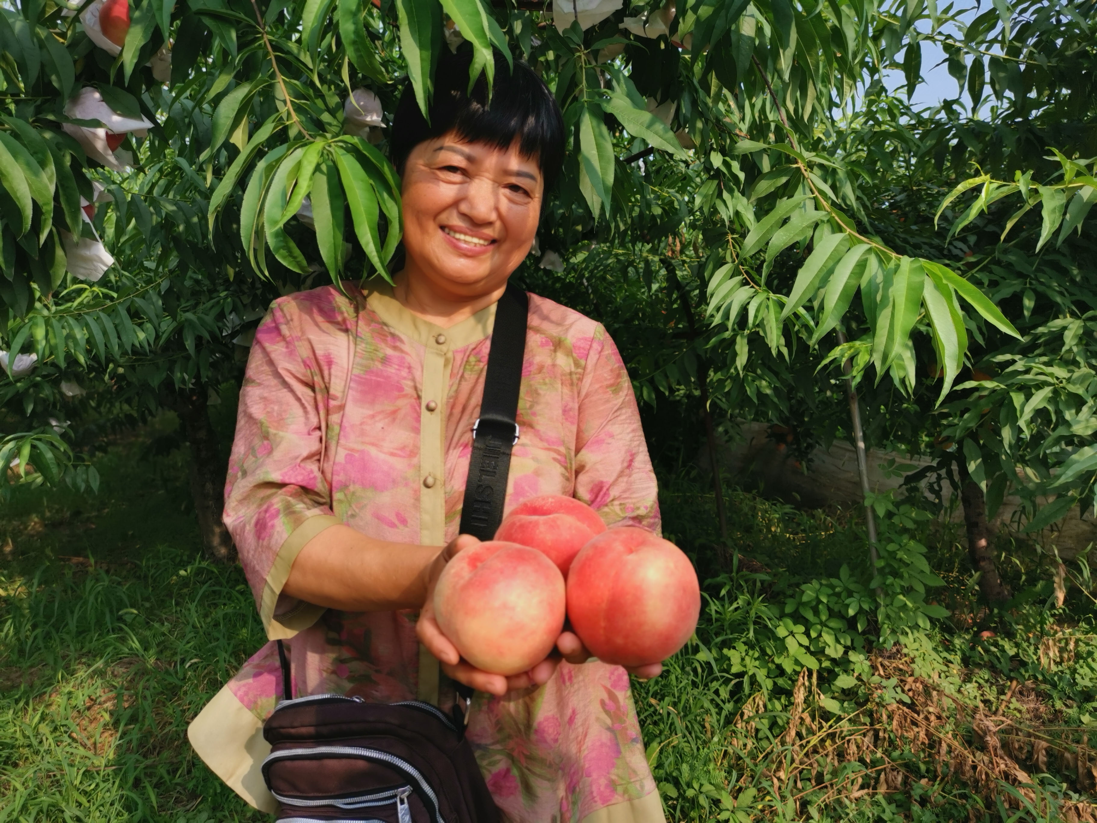 襄阳老河口市乡村振兴有哪些项目,湖北省老河口市乡村振兴工作重点