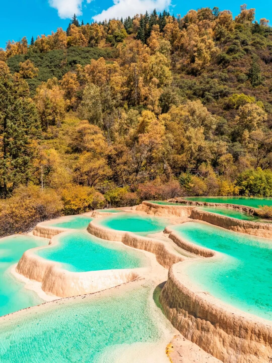 成都秋天一天游最佳地方,成都周边一日游自驾秋天