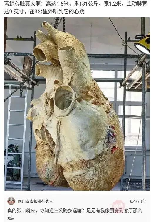 室友一支口红就是我一个月生活费 (一根口红一个月生活费)