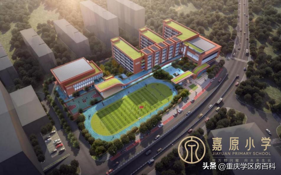 目前哪些学校已经开学了,目前全国开学的学校