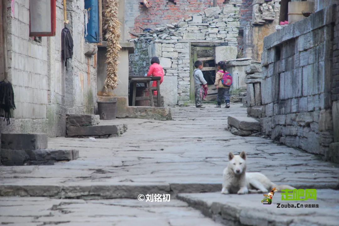 贵州樱花风景区一日游,半城樱花贵阳