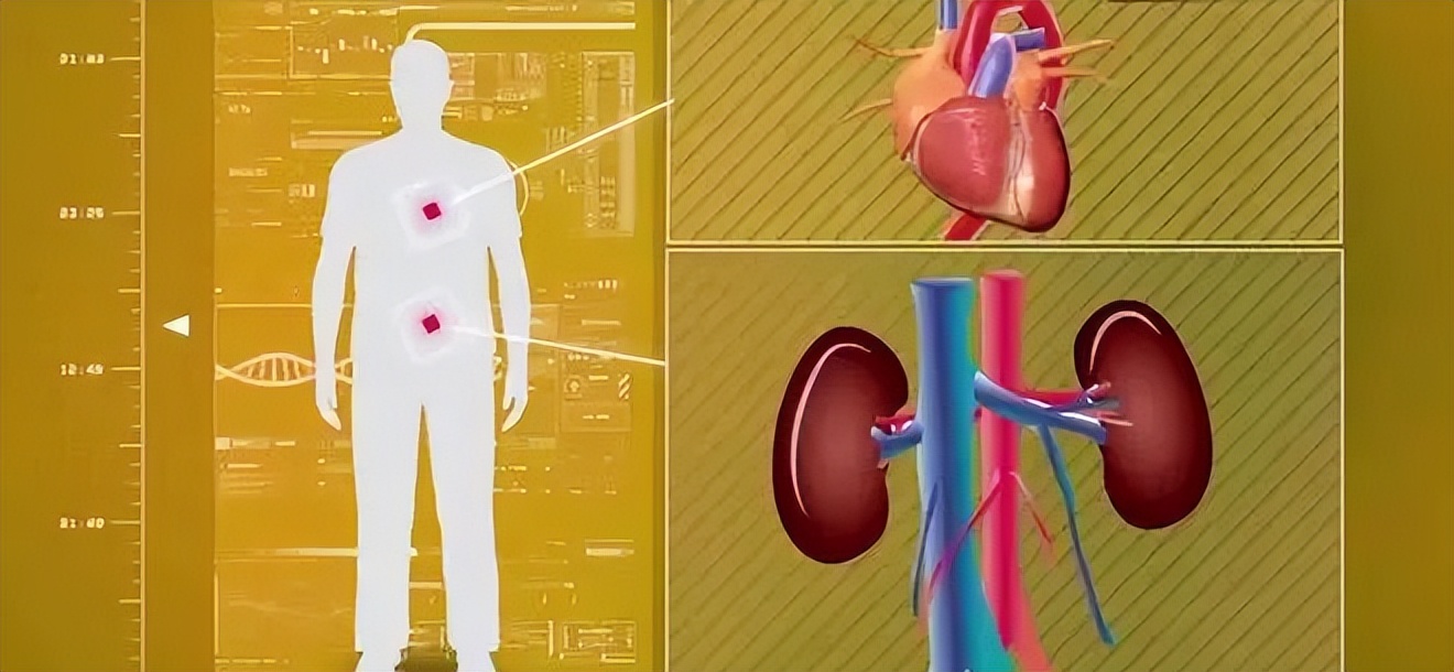 为什么肾病会持续发展,得了肾病记得远离3个误区