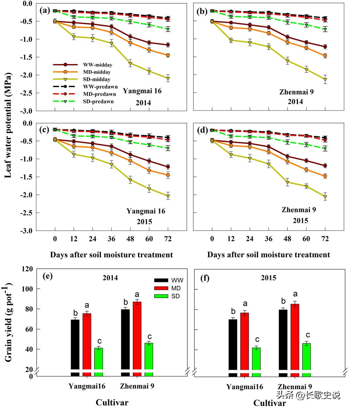 小麦淀粉糊化的温度是多少度,小麦淀粉高温糊化后有韧性吗