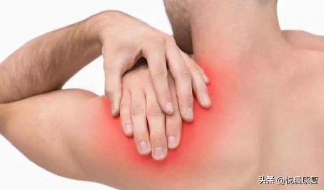 副神经的解剖功能,副神经解剖