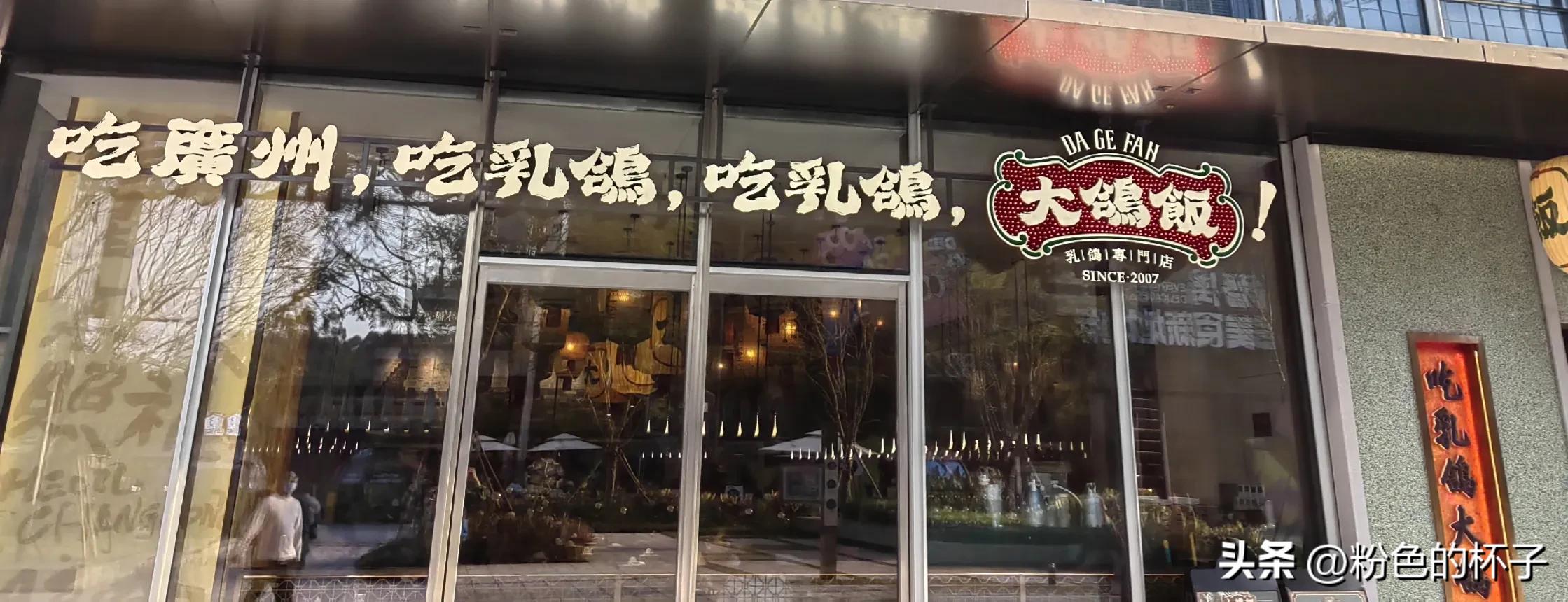 长隆野生动物园南门步行攻略,山东去广州长隆野生动物园攻略