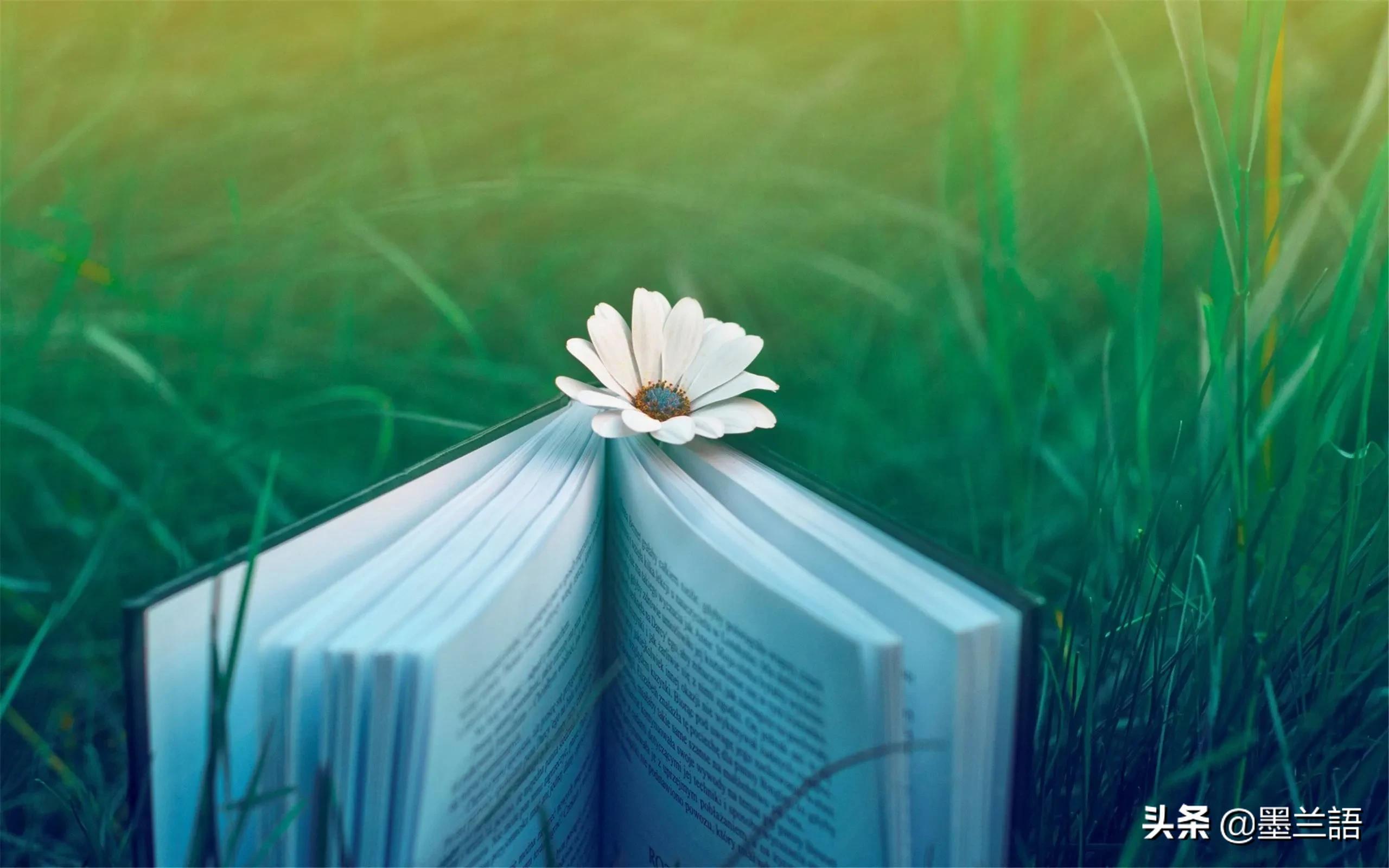 天马行空的创意想法有哪些,天马行空的典型创意