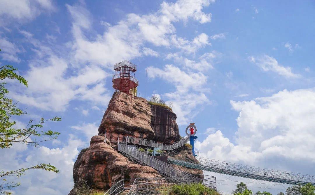 桃金娘果清远,清远桃金娘