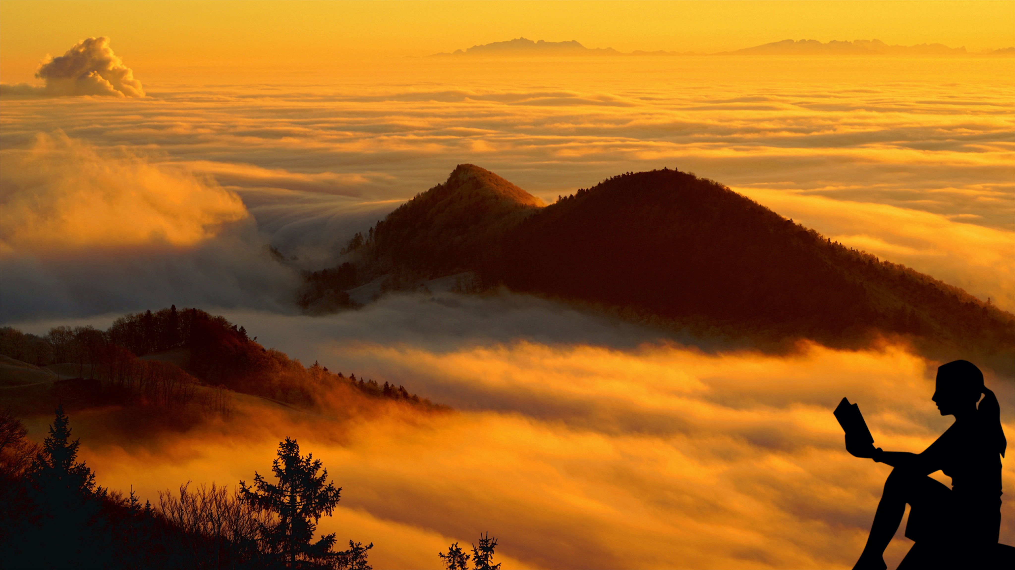 做读书博主怎么挣钱,做读书博主收获了什么